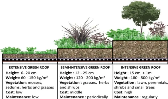 Figura 2.10 – Síntese dos diferentes tipos de Telhados Verdes existentes. Fonte: 