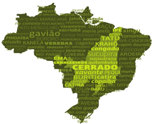Figura 3: Imagem: mapa das nuvens. Fonte: http://bancadaverde.org.br/noticias/uso- http://bancadaverde.org.br/noticias/uso-e-cobertura-da-terra-no-cerrado-serao-mapeados-pela-embrapa/