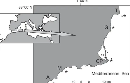 Fig. 1. Diplodus sargus. The 5 sampling sites of the present study. A: Águilas; 