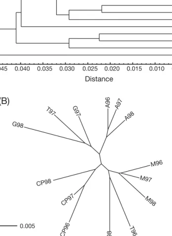 Fig. 3. Diplodus sargus. UPGMA and neighbour-joining plots of genetic distances calculated for 14 allozyme loci among  15 cohorts