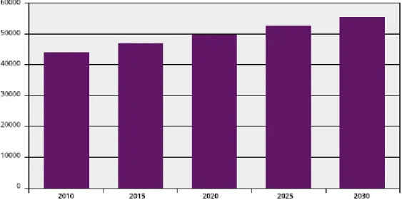 Figura 1.1 Previsão da evolução da incidência de cancro em Portugal entre 2010 e 2030