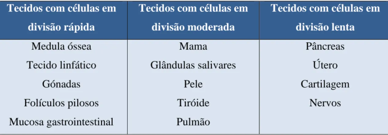 Tabela 4.1: Taxa de divisão celular dos vários tecidos. Fonte: [9] 