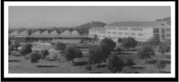 Figura 2: Fotografia da escola após a conclusão das obras em 1962. 
