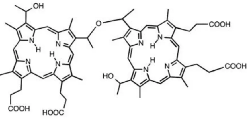 Figura 4.1. Representação esquemática da estrutura química do PS Photofrin®. 53 