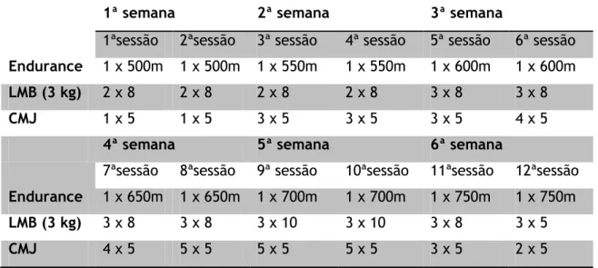 Tabela 2. Programa de treino 
