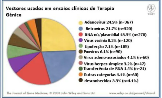 Figura 9: Gráfico dos vectores mais utilizados nos ensaios clínicos da Terapia Génica, no ano 2008
