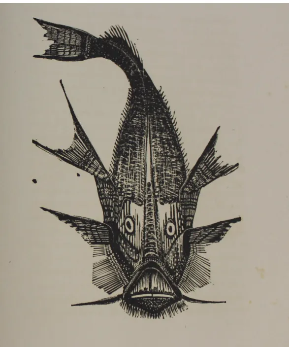 Figura 7 – Xilogravura. “O peixe boi”. P. 105 