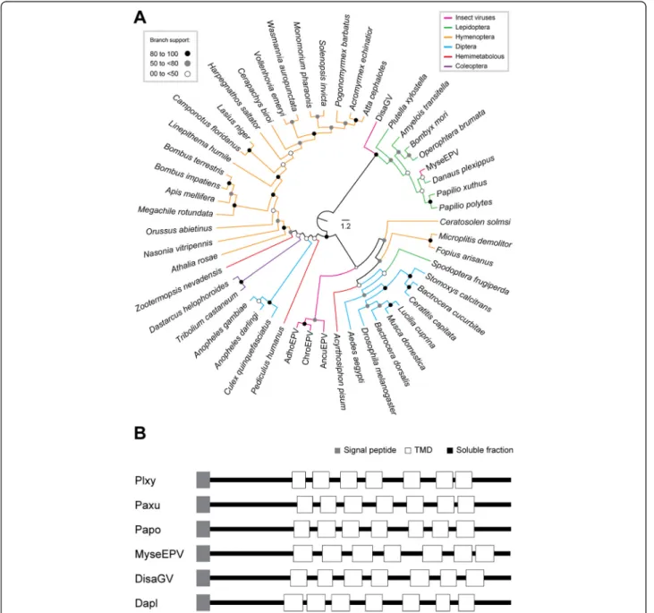Fig. 5 In silico analyses of Disa038, a betabaculovirus-encoded G protein-coupled receptor gene