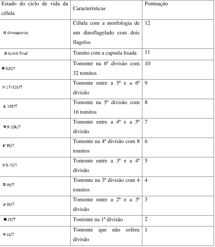Tabela 3.3 – Classificação do estado do ciclo de vida do parasita. 