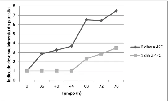 Figura 4.3  -  Índice de desenvolvimento do parasita ao longo do tempo quando não  esteve a  4ºC e quando esteve 1 dia a 4ºC