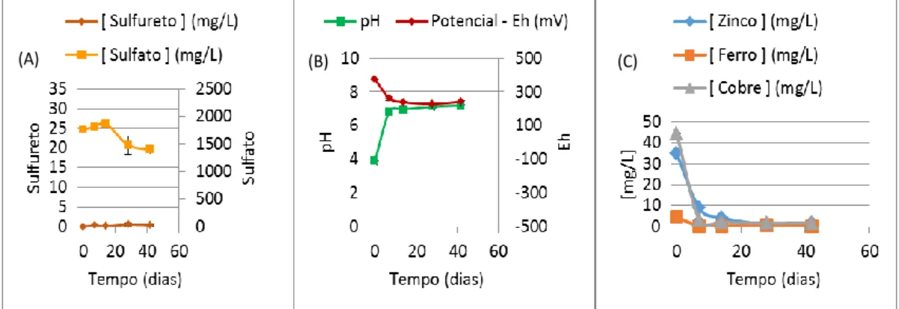 Figura 4.22- Monitorização do controlo negativo de 1% (m/v) de Carbocal® em DAM de São  Domingos  sem  BSR:  (A)  -  Concentrações  de  sulfureto,  de  sulfato  ao  longo  do  tempo;  (B)  -  Valores de pH e Eh ao longo do tempo; (C)  – Concentrações de zi