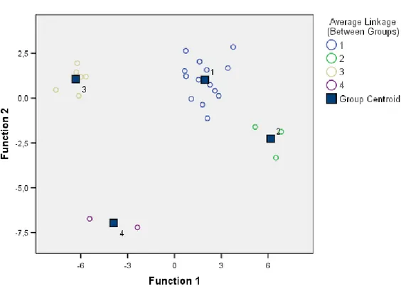 Figure 2 – Map with the Discriminant Functions and Clusters 