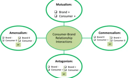 Figure 1: Bios-Consumer Brand Relationship Model (BCBR Model) 