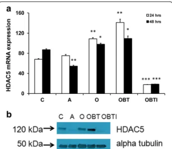 Fig. 4 Expression of osteogenic and adipogenic markers in hMSCs under conditions used for gene expression microarray analysis