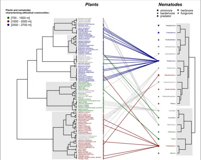 FIGURE 4 | Hierarchical clustering and correlations between plant and nematode distribution