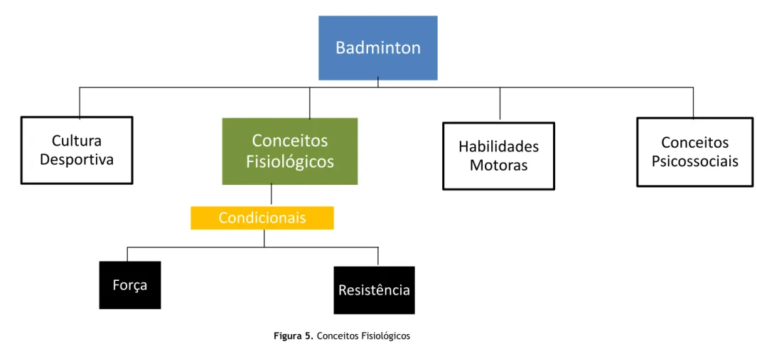 Figura 5. Conceitos Fisiológicos