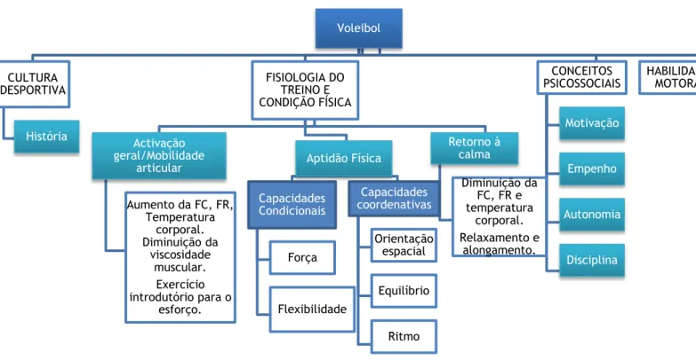 Ilustração 1- Modelo de estrutura do conhecimento (MEC). 