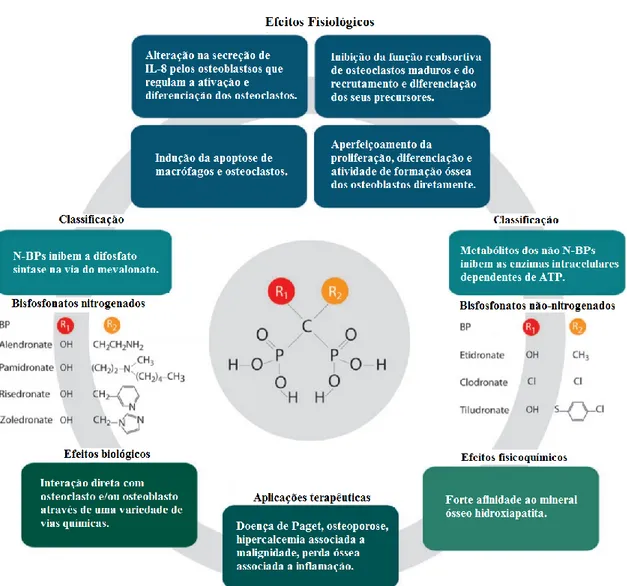 Figura 1 – Estrutura química dos BP, classificação, mecanismo de ação dependendo  do grupo, efeitos e aplicações terapêuticas (Catallini et al., 2012) .