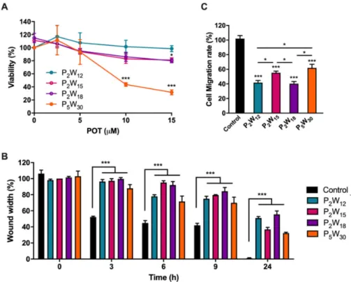 Figure 5. Effect of POTs on viability and migration of human melanoma cells. (A) Cell viability determined by 3-(4,5-dimethylthiazolyl-2)-2,5-diphenyltetrazium bromide (MTT) assay after cell exposure to a range of the four POT concentrations for 24 h