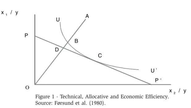 Figure 1 - Technical, Allocative and Economic Efficiency.