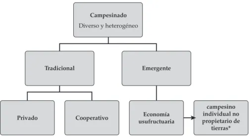 Gráfico 1. Estructura interna del campesinado cubano