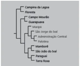 Figura 1. Dendograma dos clusters