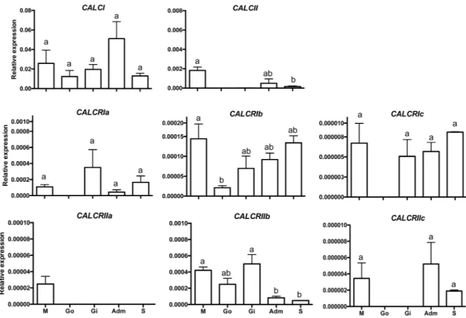 Figure 4.  Tissue distribution of the Mediterranean mussel (Mytilus galloprovincialis) calcitonin peptide  precursors and receptors