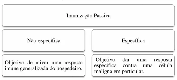 Tabela 3 - Tipos de imunização passiva. 