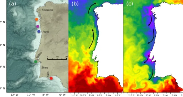 Figure 1. (a): Core locations over Iberian Margin bathymetry: Geoß11033-1/Galiza in orange; DIVA09 GC/Minho in magenta; PO287-6B, -6G/Porto (Douro Mud Belt) in blue; PO287-26B, -26G, D130902, D13882 Tagus (Tagus Mud Belt) in green; POPEI VC2B/Algarve in re