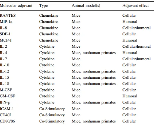Tabela 4 – Vários tipos de adjuvantes moleculares e as respostas que induzem   (Adaptado de Abdulhaqq &amp; Weiner, 2008) 