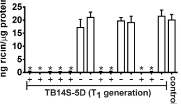 Figure 3.  Proteins from transgenic event TB14S-5D do not agglutinate red blood cells