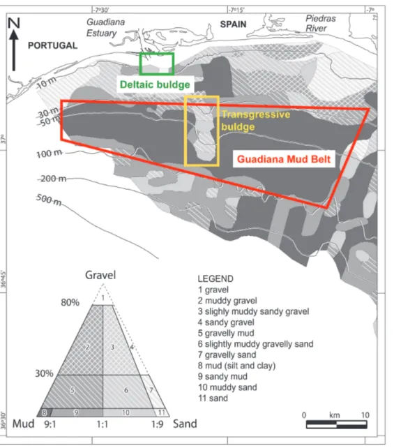 Figure 4.5.  Modern distribution of surficial sediments on the Guadiana Shelf (sediments of type 1 and 4 do not occur on the mapped area)