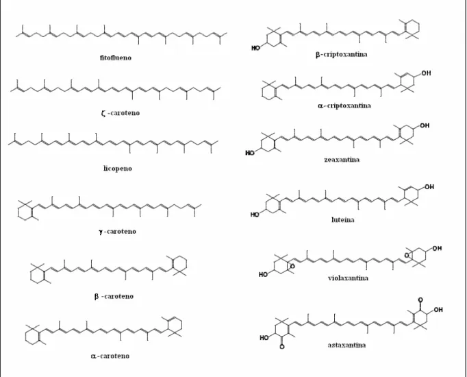 Figura 3: Estruturas de alguns carotenóides encontrados na natureza. Fonte: Rodriguez- Rodriguez-Amaya, 1997