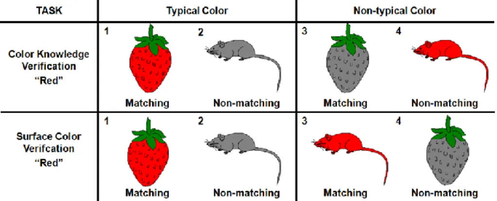 Figure 3.1.  Example of the stimuli used in the experiment. The participants had to  verify the objects color (surface and knowledge) with a previously presented color  name  “red”