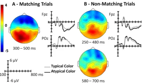 Figure  3.3.  Topographic  distribution  of  the  atypical  versus  typical  color  objects  in  the  knowledge  color  verification  task  for  the  matching  (A)  and  non-matching  verification (B)