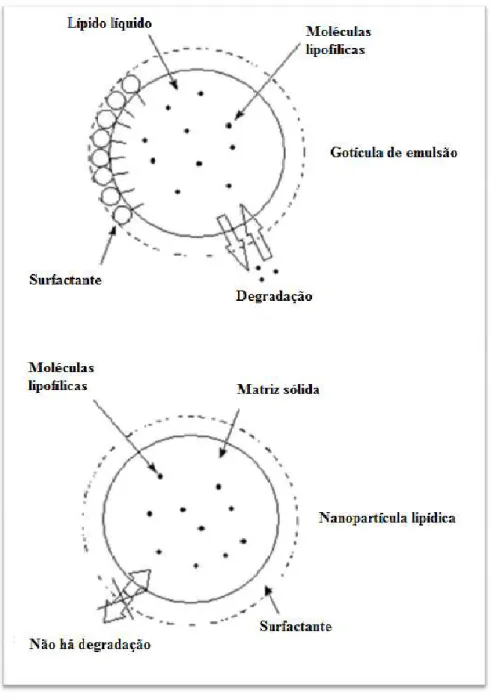 Figura  6  -  Protecção  química  de  fármacos  lábeis:  Representação  esquemática  da  degradação de fármaco apresentada pelas gotículas de emulsão convencional em comparação  com as nanopartículas lipídicas (adaptado de Souto e Müller, 2007)