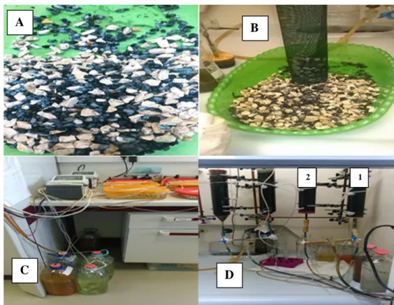 Fig 3.4- Showing: (A)- core sand mix with limestone in a 50:50 weight ratio. (B)- filling of the  bioreactor mesh column with the core sand/limestone mixture