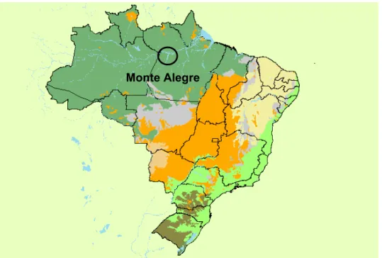 Figura 1 - Mapa da vegetação do Brasil, mostrando a área central do bioma do Cerrado e  enclaves em outros biomas (na cor laranja); e as áreas de tensão ecológica ou áreas de  transição existentes nas áreas de contato dos biomas (na cor cinza)