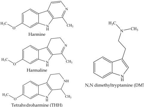 Figure 1. Chemical structures of the β-carbolines harmine, harmaline, and tetrahydroharmine (THH)  present in Banisteriopsis caapi and ayahuasca and of N,N-dimethyltryptamine (DMT), present in  ayahuasca