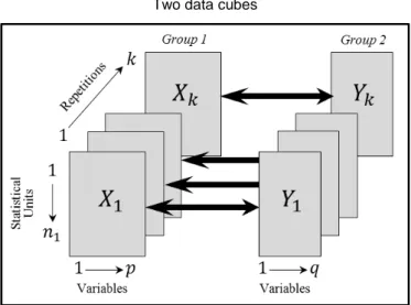 Figure 3  Two data cubes 