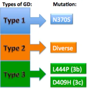 Figure    3    -­‐    Classification    of    Gaucher    Disease    on    genotype-­‐phenotype
