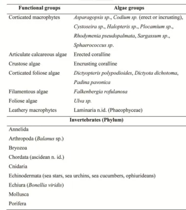 Table  2.7  -  Biotic  habitat  (algae  and  invertebrates):  algae  functional  groups  and  corresponding  algae  groups  (algae  species,  genus  or  type);  invertebrate  groups  (aggregated  by  Phylum)  surveyed  in  the  Arrábida  Marine  Park, Port