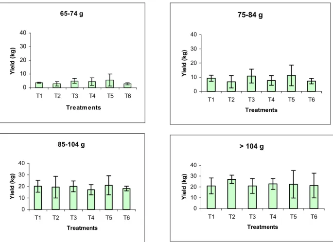 Figure 1. Total yield per vine of kiwifruit subjected to the treatments: T1 and T4 = control  (no Ca spraying); T2 and T5 = kiwifruit sprayed with 0.03% CaCl 2 ; T3 and T6 = kiwifruit  sprayed with 0.03% CaO