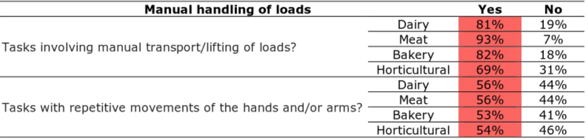Table 8. Risks related to the Manual handling of loads in the audited companies 