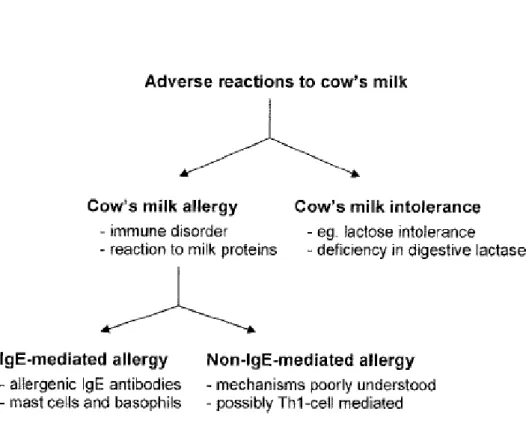 Figura  1:  Reacções  adversas  ao  leite  de  vaca  (esquema  retirado de:  Crittenden  et al, 2005 (16) )