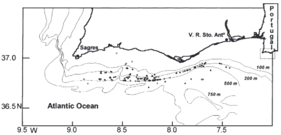 Fig. 1. Fishing areas and depths. Full and open marks correspond to hauls in ®rst and second cruises, respectively.
