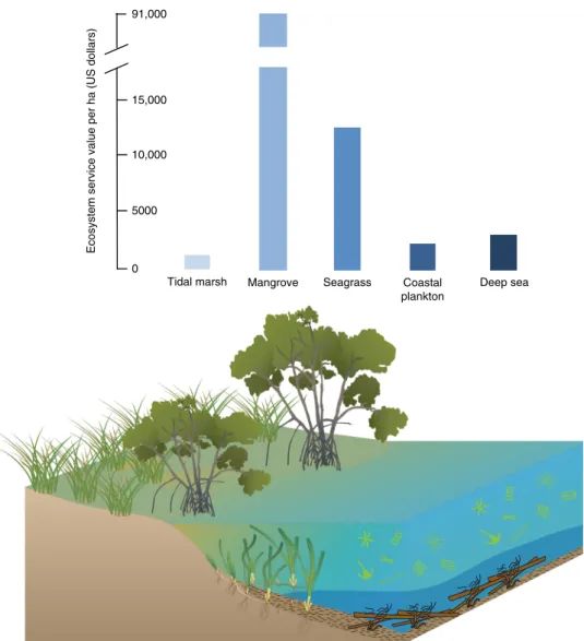 Fig. 2 Estimates of the economic value of blue carbon ecosystems per hectare. Data from ref