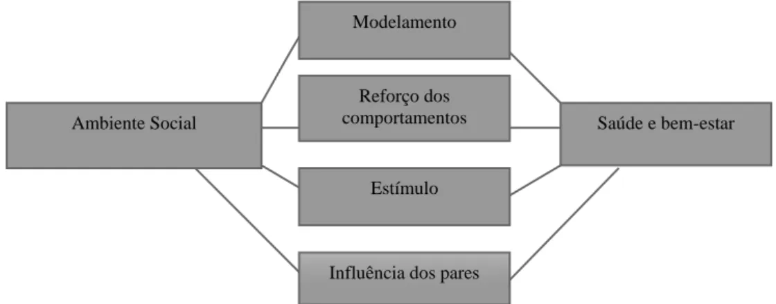 Figura 1 - Modelo de efeito direto 