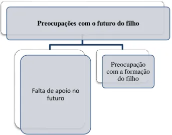 Figura 8. Preocupações com o futuro do filho 