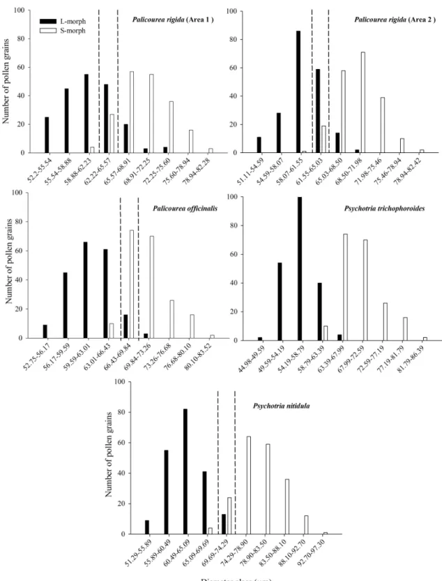 Figure 1. Frequency distribution of the number of pollen grains of L- and S- morph, according to their diameter  class, of five populations of Palicourea and Psychotria (Rubiaceae) in Cerrado areas of Central Brazil
